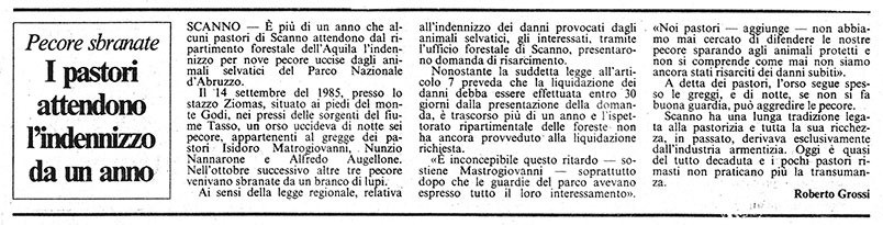 Pecore sbranate<br>
I pastori attendono l'indennizzo da un anno<br>
(10/12/1986)