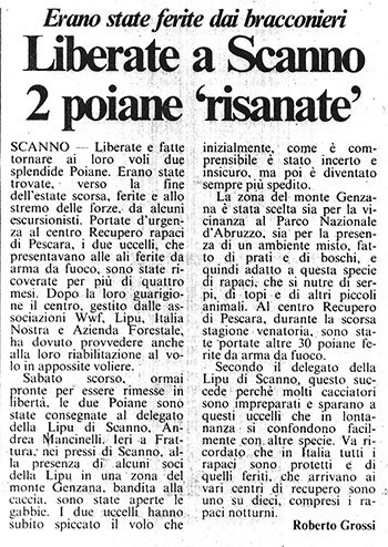 Erano state ferite dai bracconieri<br />
Liberate a Scanno 2 poiane 'risanate'<br />
(24/03/1987)