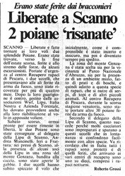 Erano state ferite dai bracconieri<br />
Liberate a Scanno 2 poiane 'risanate'<br />
(24/03/1987)